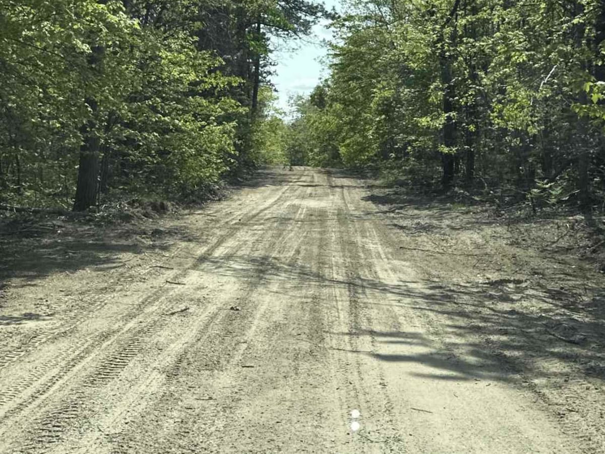 FS 4144 photo 6