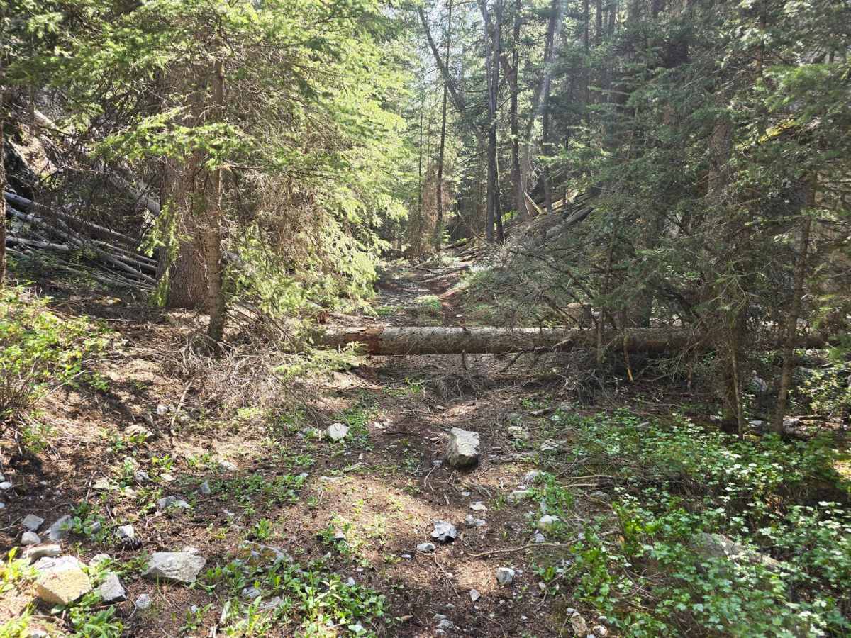 Italian Peak photo 6