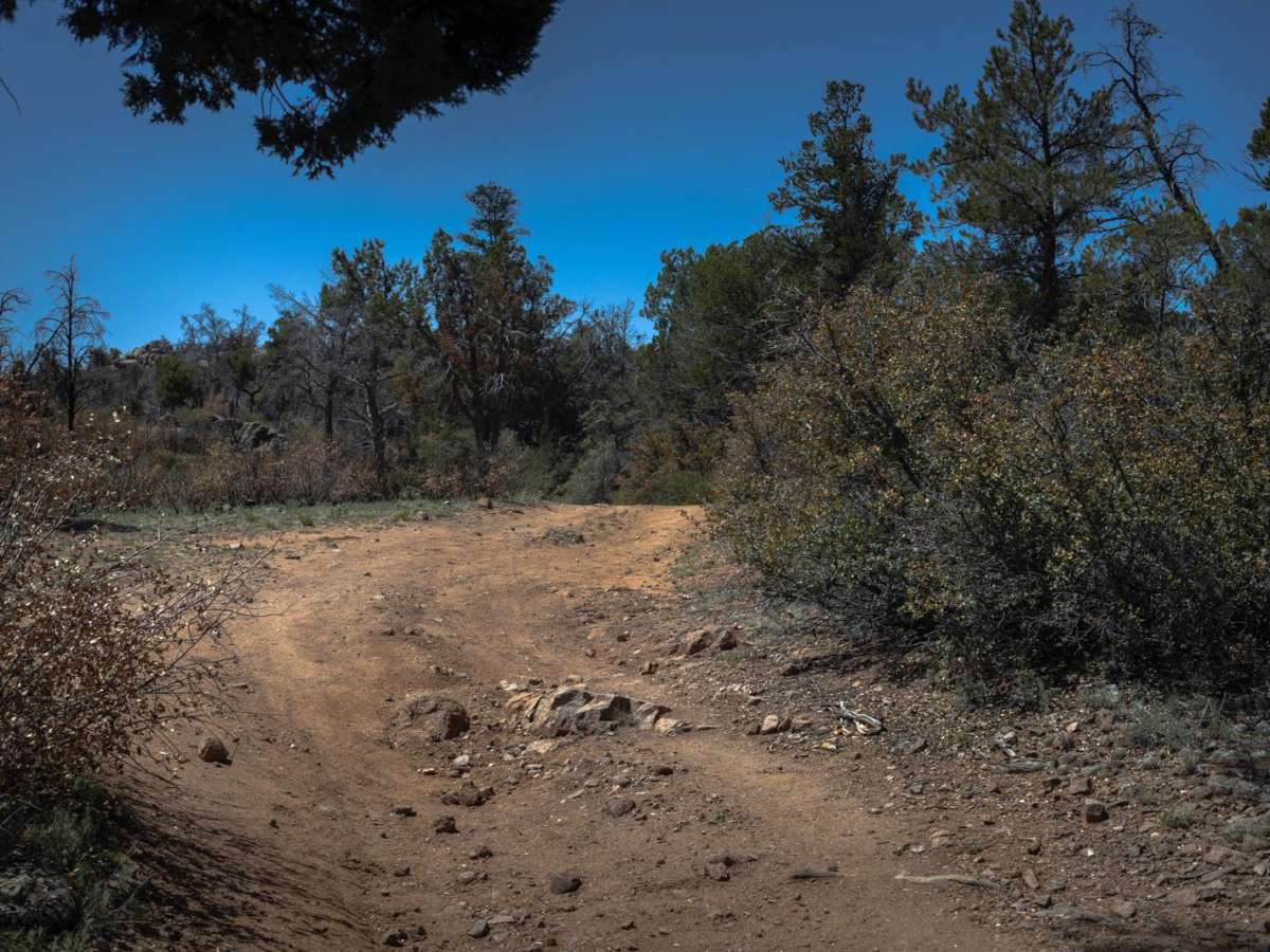 Graver Wash photo 5