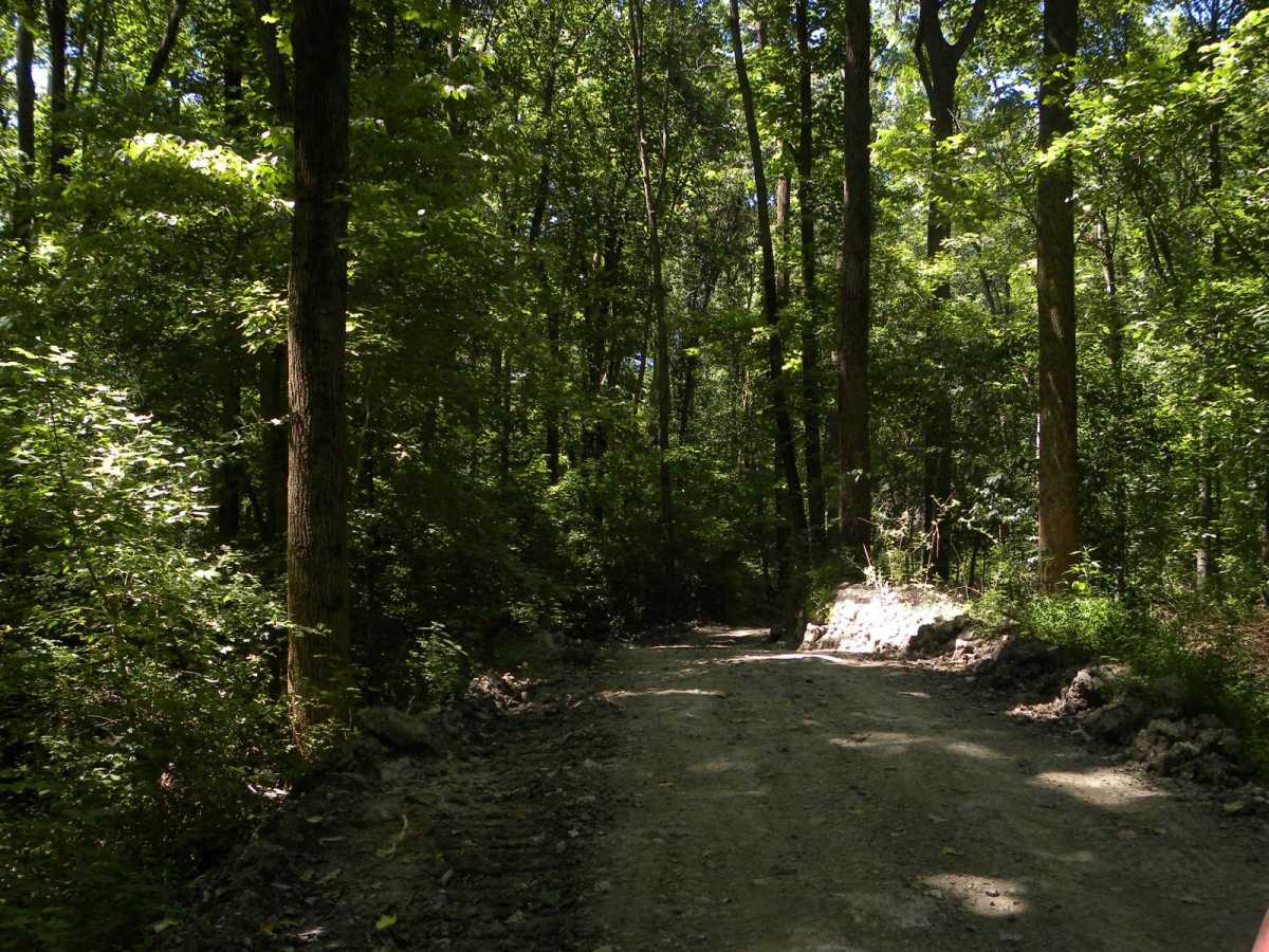6A &6B loop photo 4