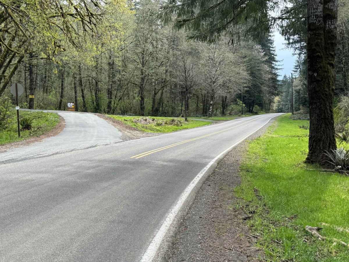 North Fork Trask River Road trail photo