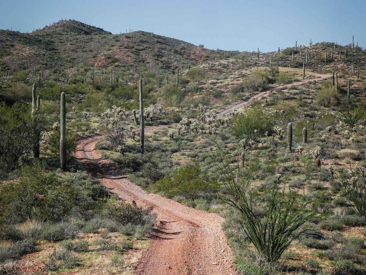 9062 trail photo