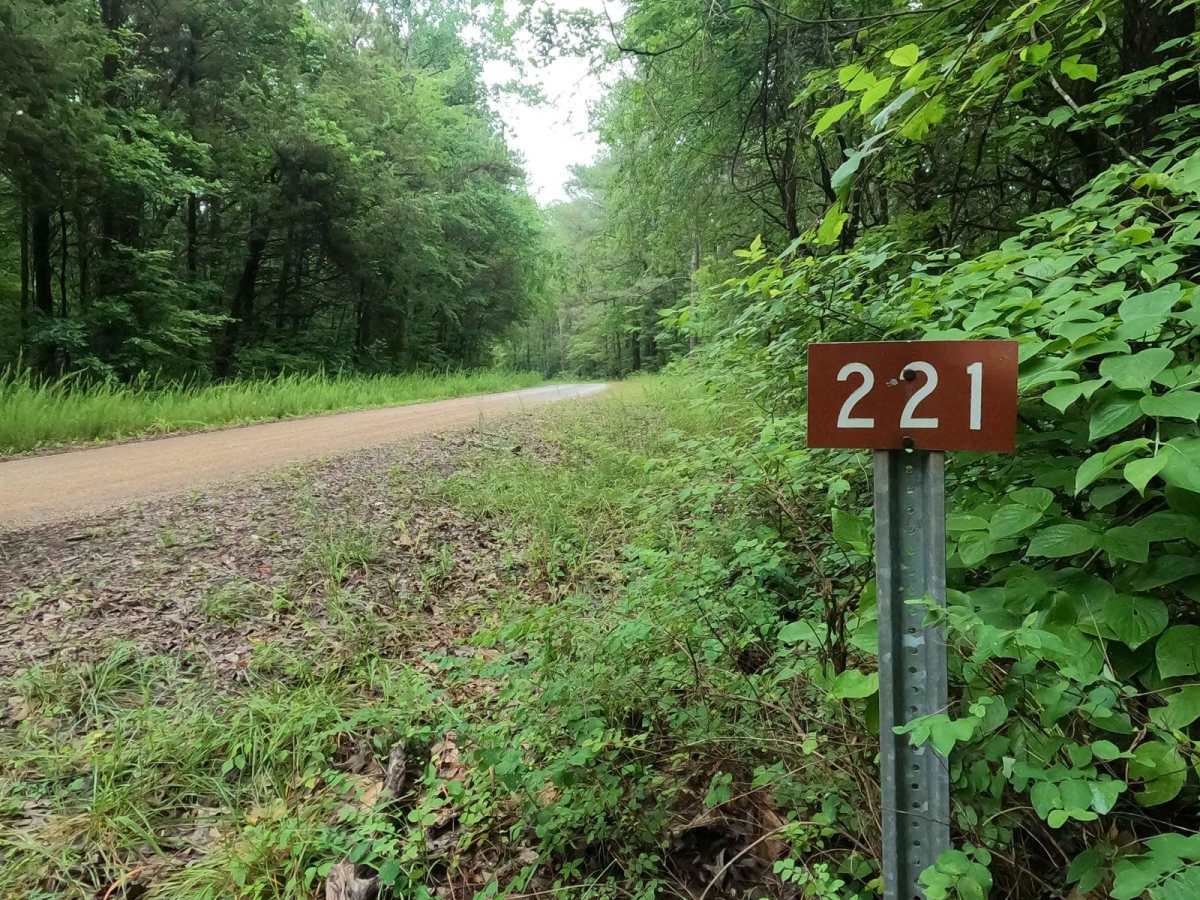 Tharpe Road FSR 221 trail photo