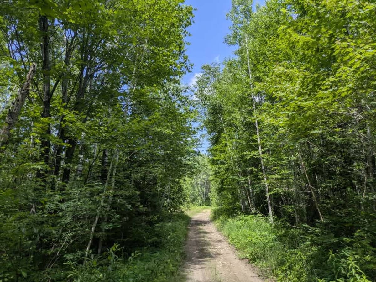 Linwood Lake Road West photo 4