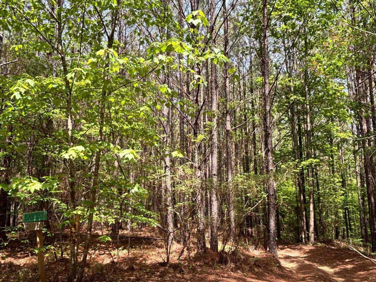 417C trail photo