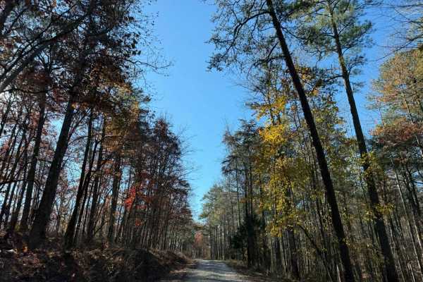Hickory Grove Road - FS 255