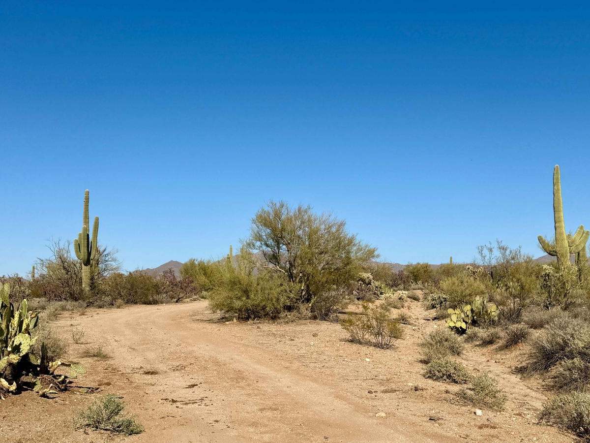 Western, East Willow Springs Road photo 6
