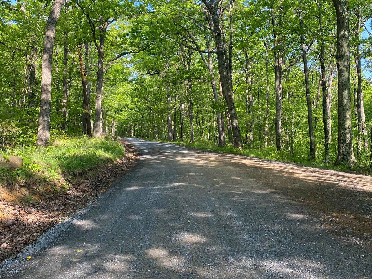 Edinburg Gap trail photo