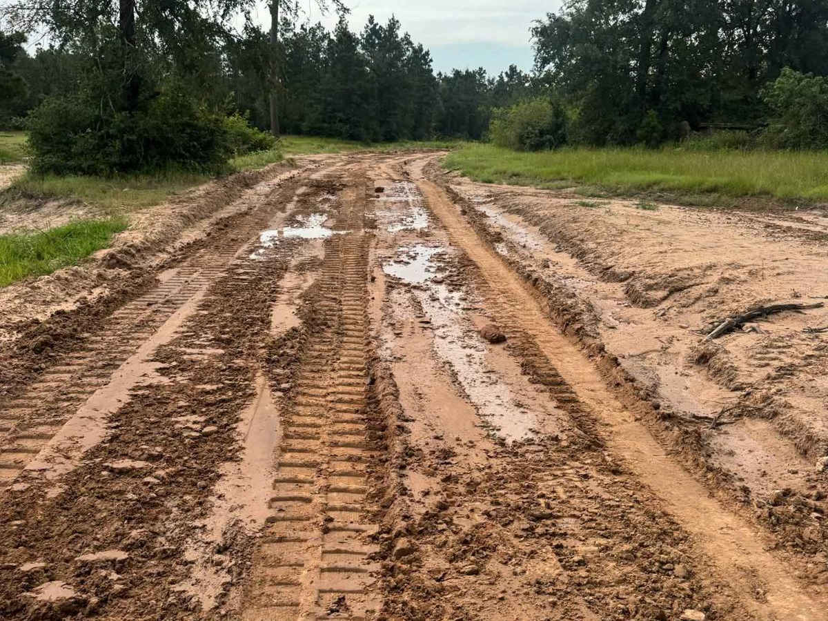 Generals Way - Main Camp Road 100 photo 4