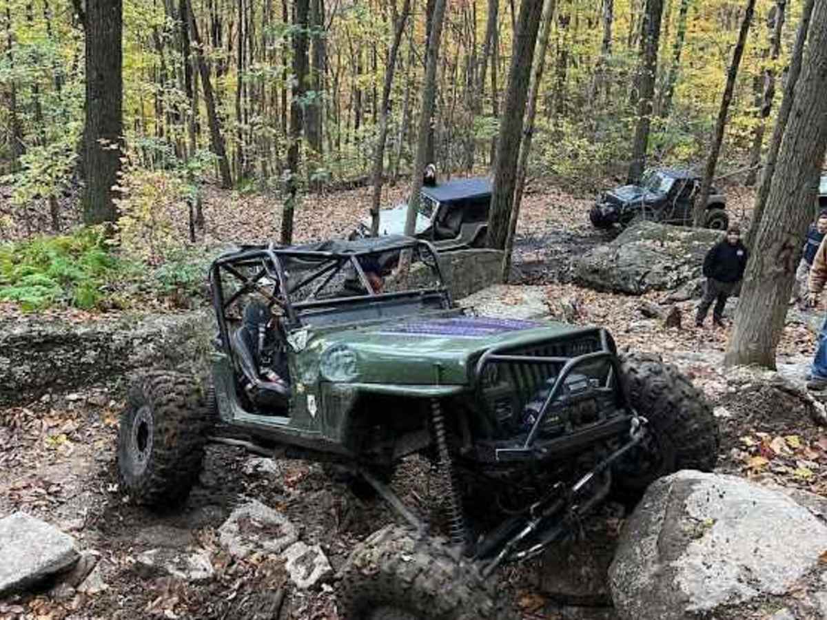 37 Black trail photo