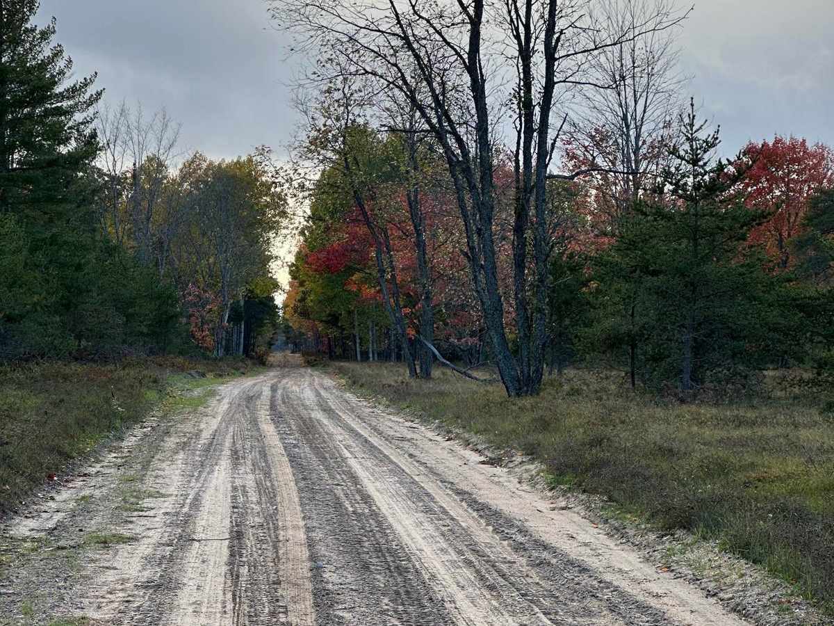 Bog Lake - FS 2686 photo 3
