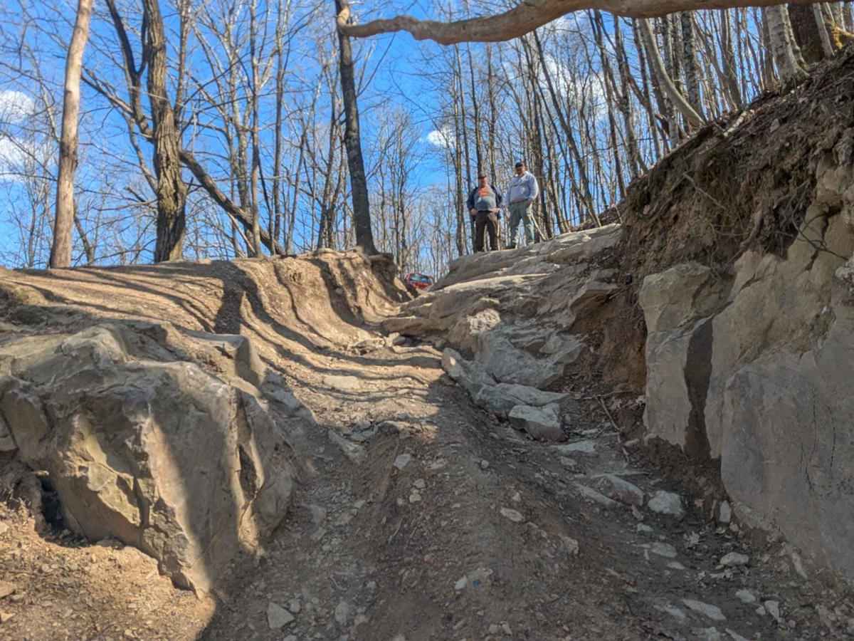 82 trail photo