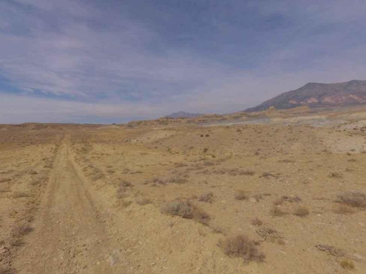 BLM13040 photo 3