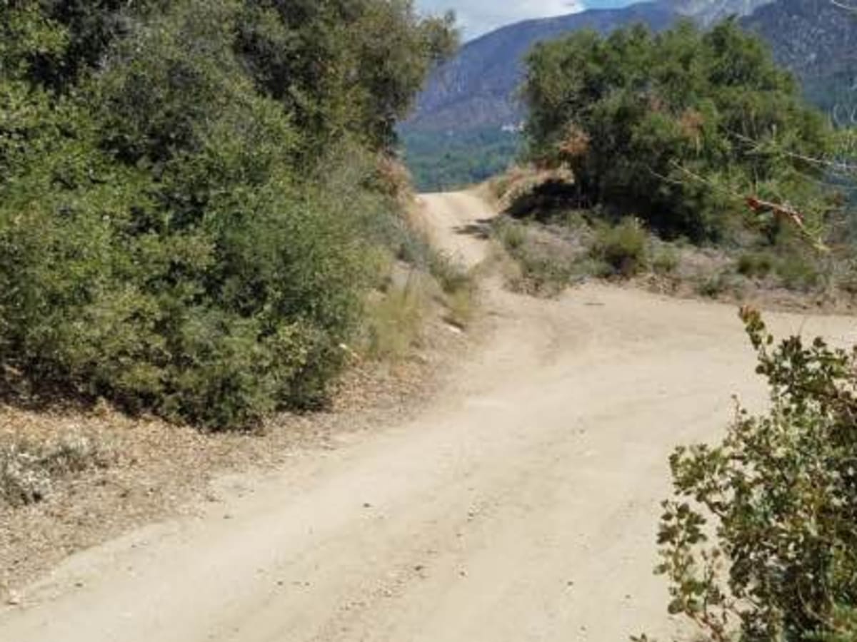 Radford Frontline Road - FS 104 photo 5