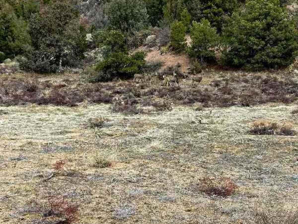 Temple Canyon Road CR3 photo 5
