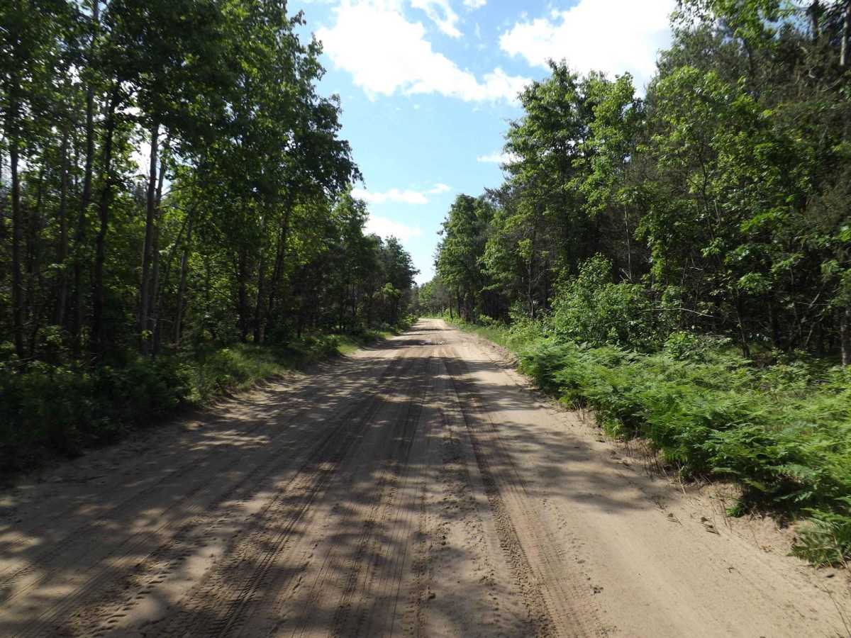 Sumac Trail photo 3