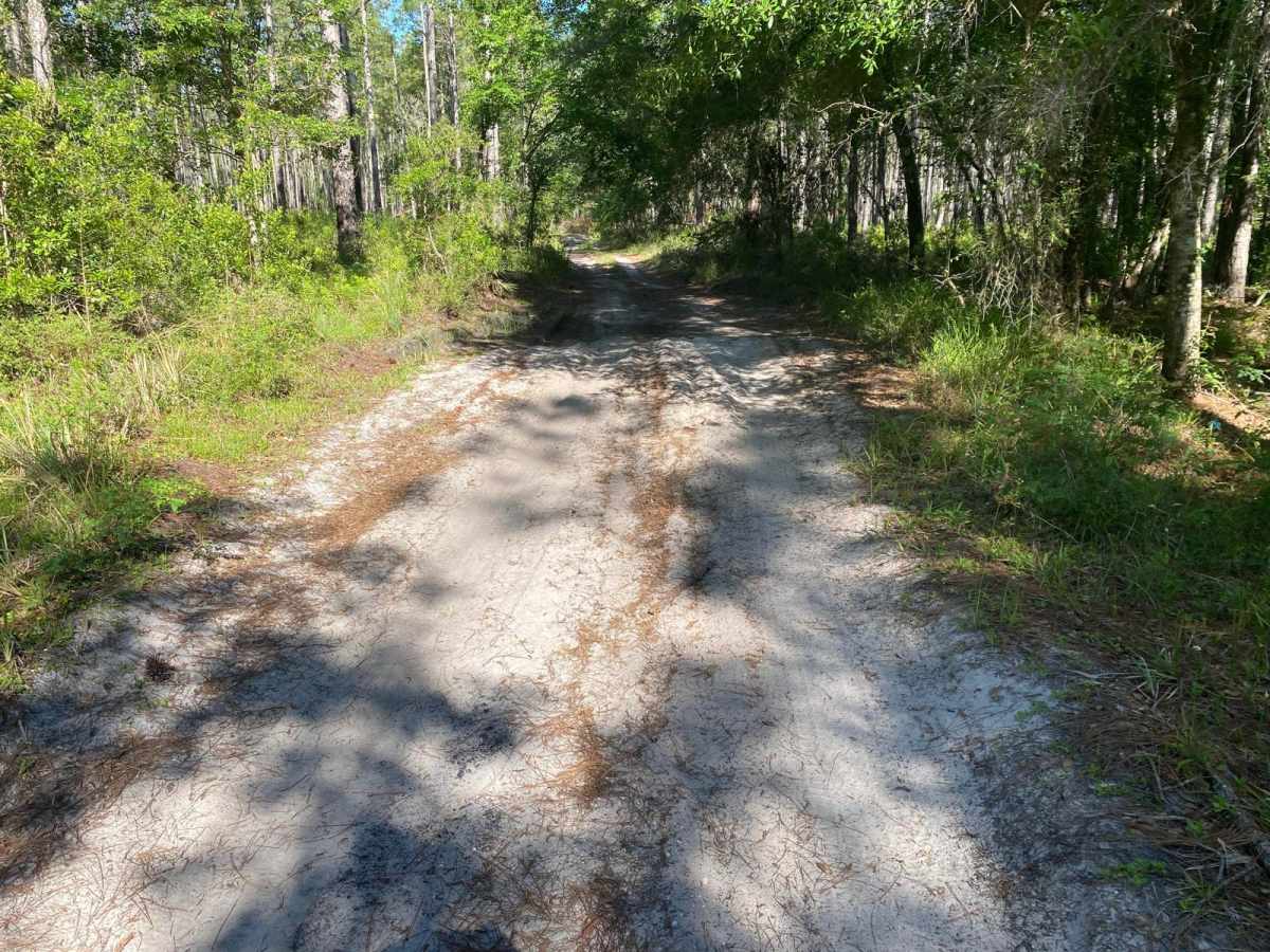 Blue Sink Road photo 2