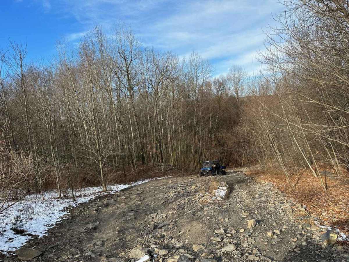 Locust Gap 29 photo 2