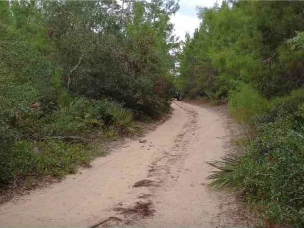 Tread Lightly! Four Wheel Drive Way photo 3