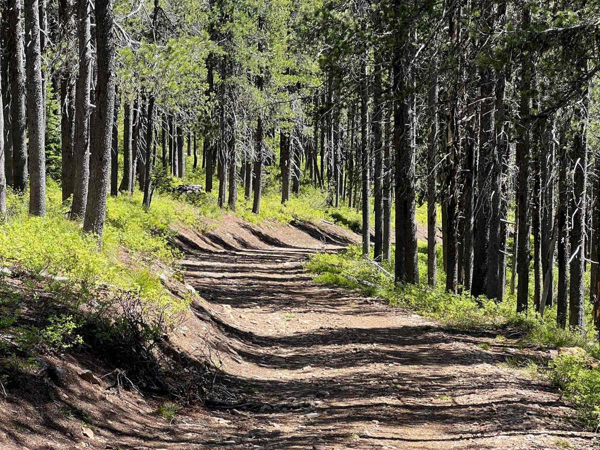 Bird Creek Divide photo 6