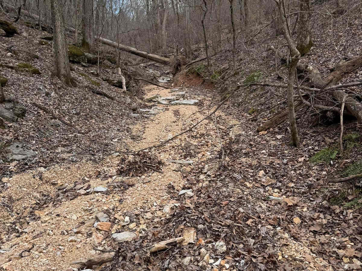 Chicken Trail 439 photo 3