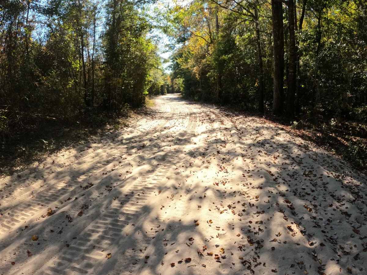 Skipper's Road photo 3