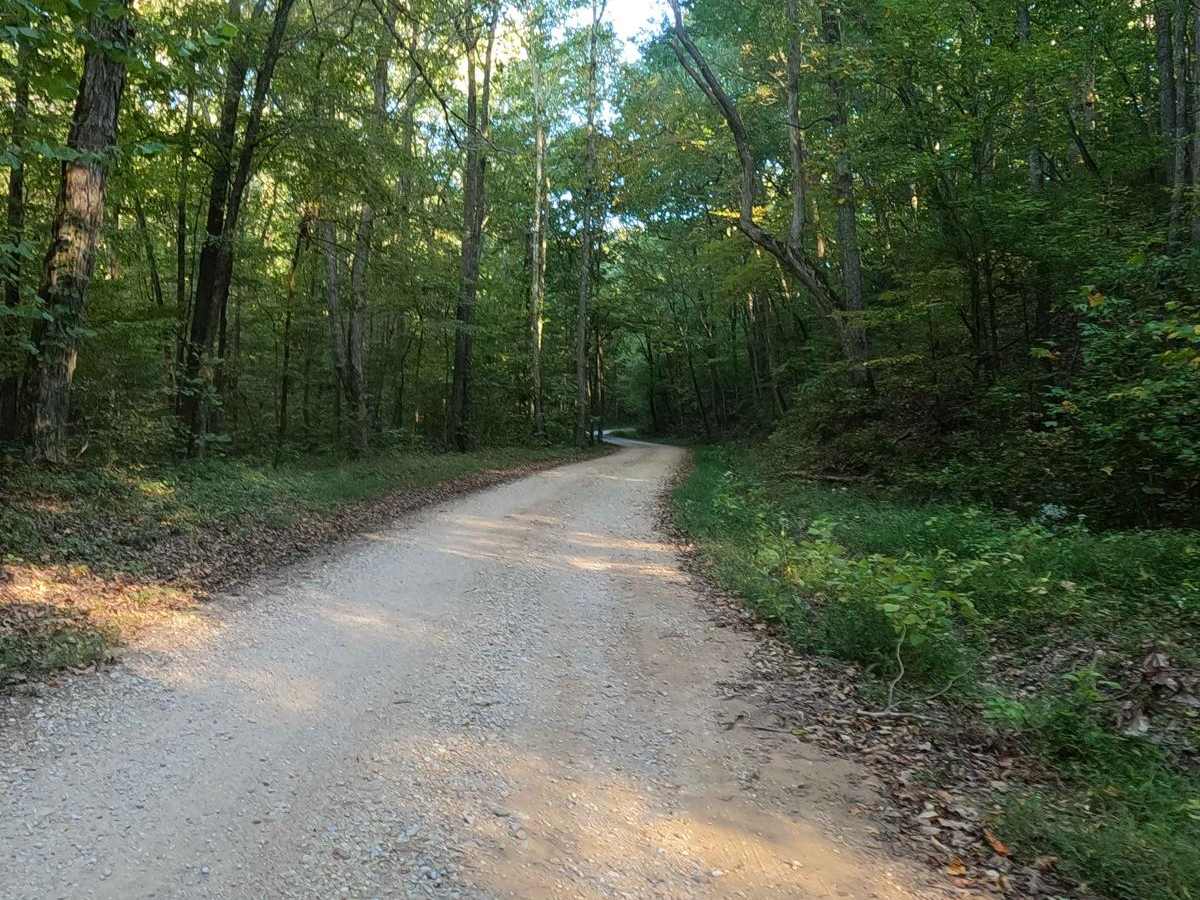 Redd Hollow Road - FS 171 photo 3