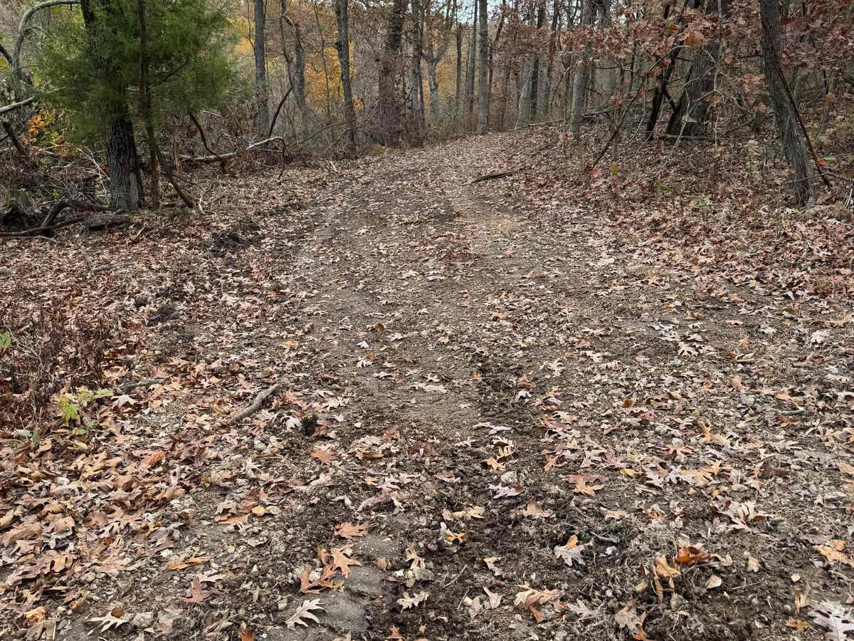 Green 186 trail photo