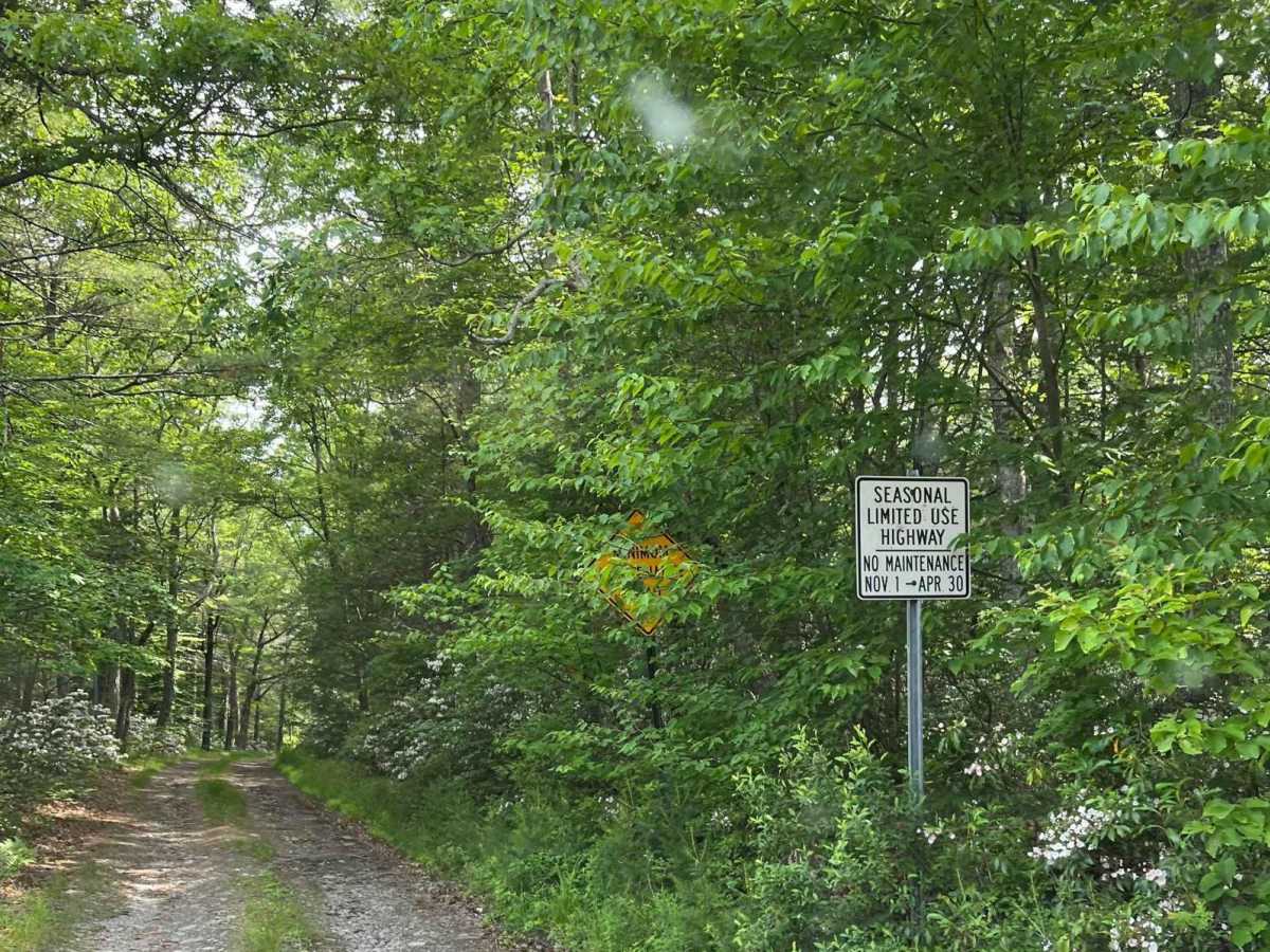 Carpenter Road trail photo