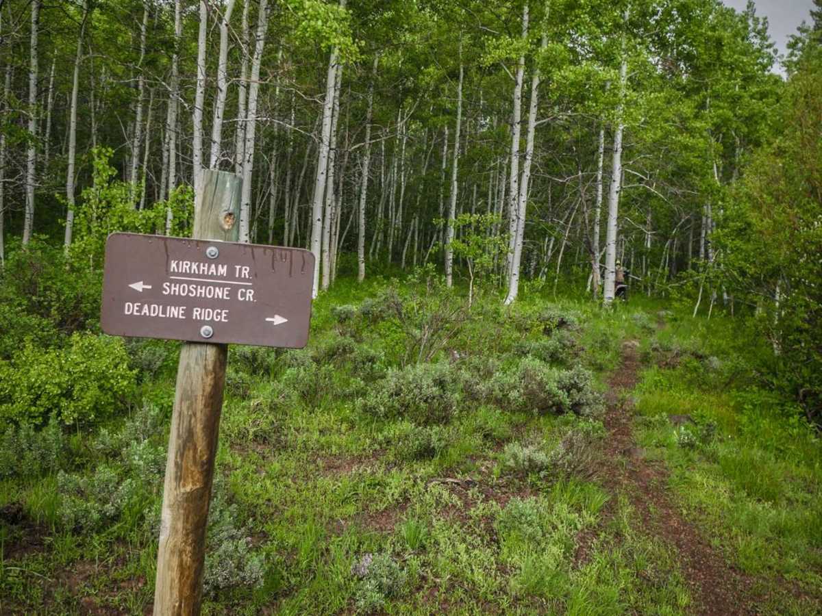 Middle Fork Shoshone Creek Spur trail photo