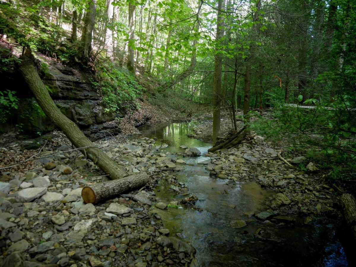 Waterfall Trail photo 4