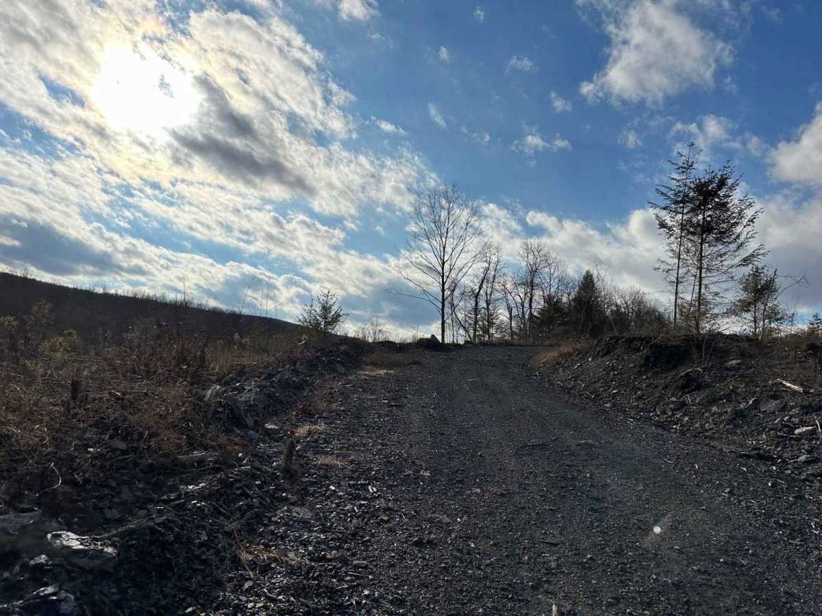 Ashland 187 photo 2