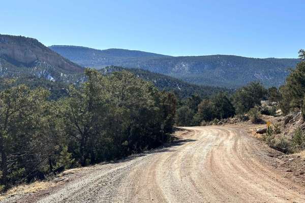 Coyote Camp Run