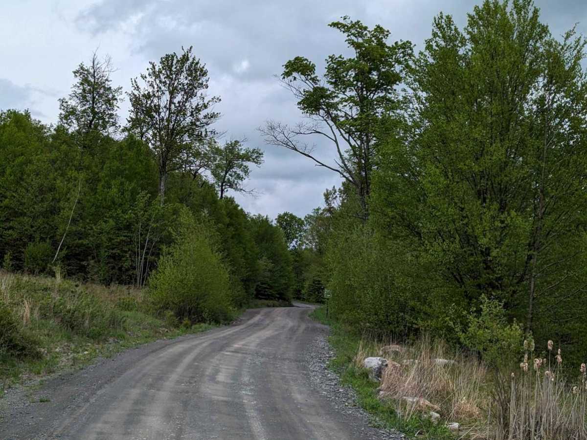 State Game Road photo 2