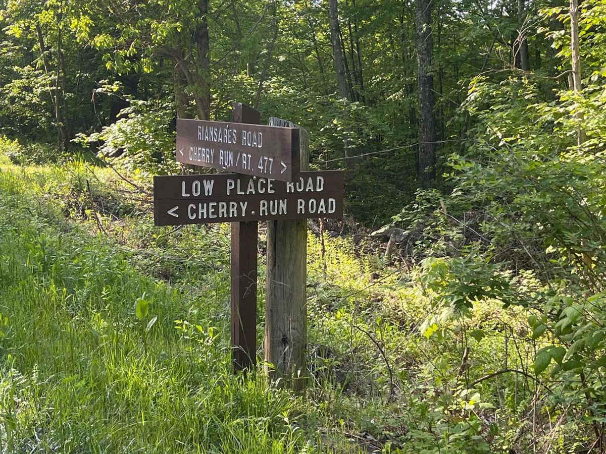 Low Place Road trail photo