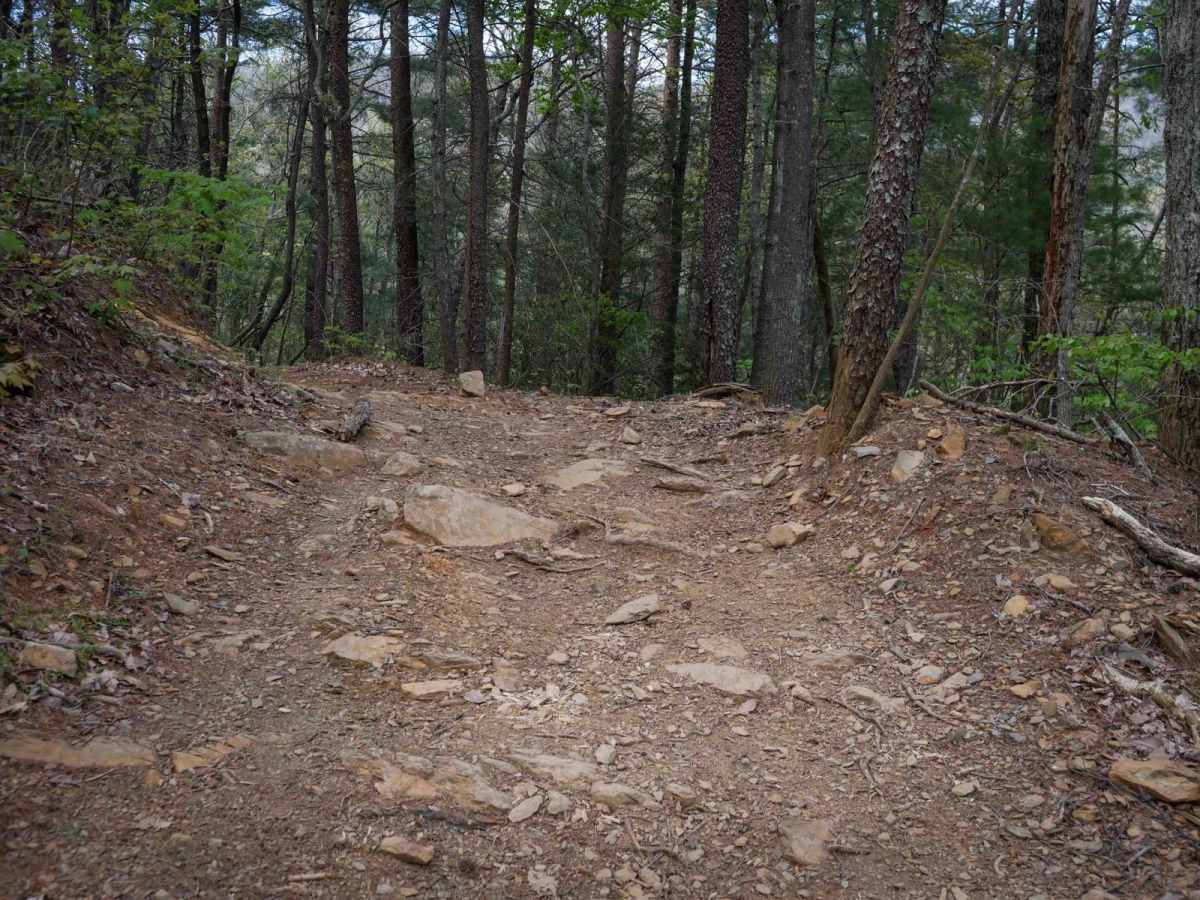 Milma Creek photo 6