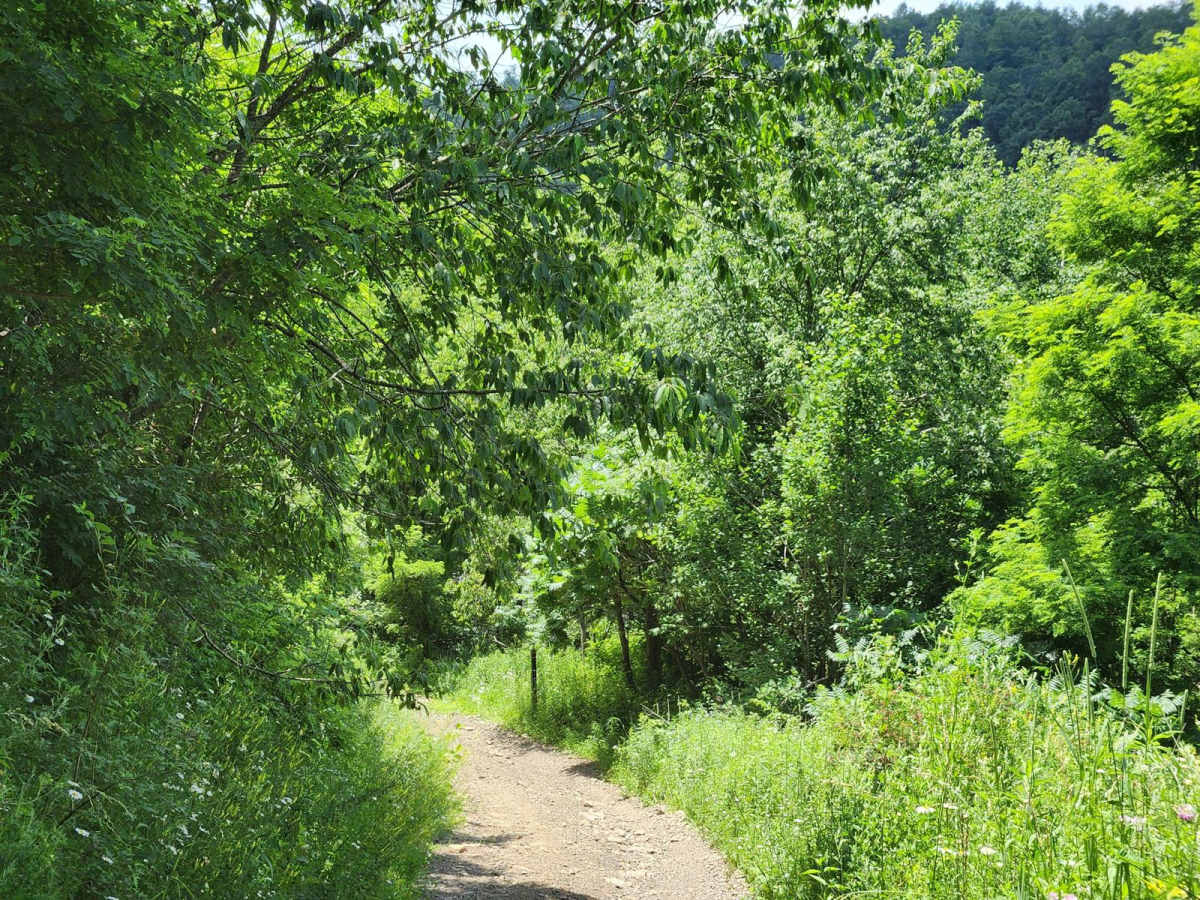 Trail 7 - Rock Run Recreation Area photo 4
