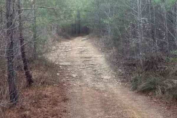 Coalmont OHV Trail 2 Green