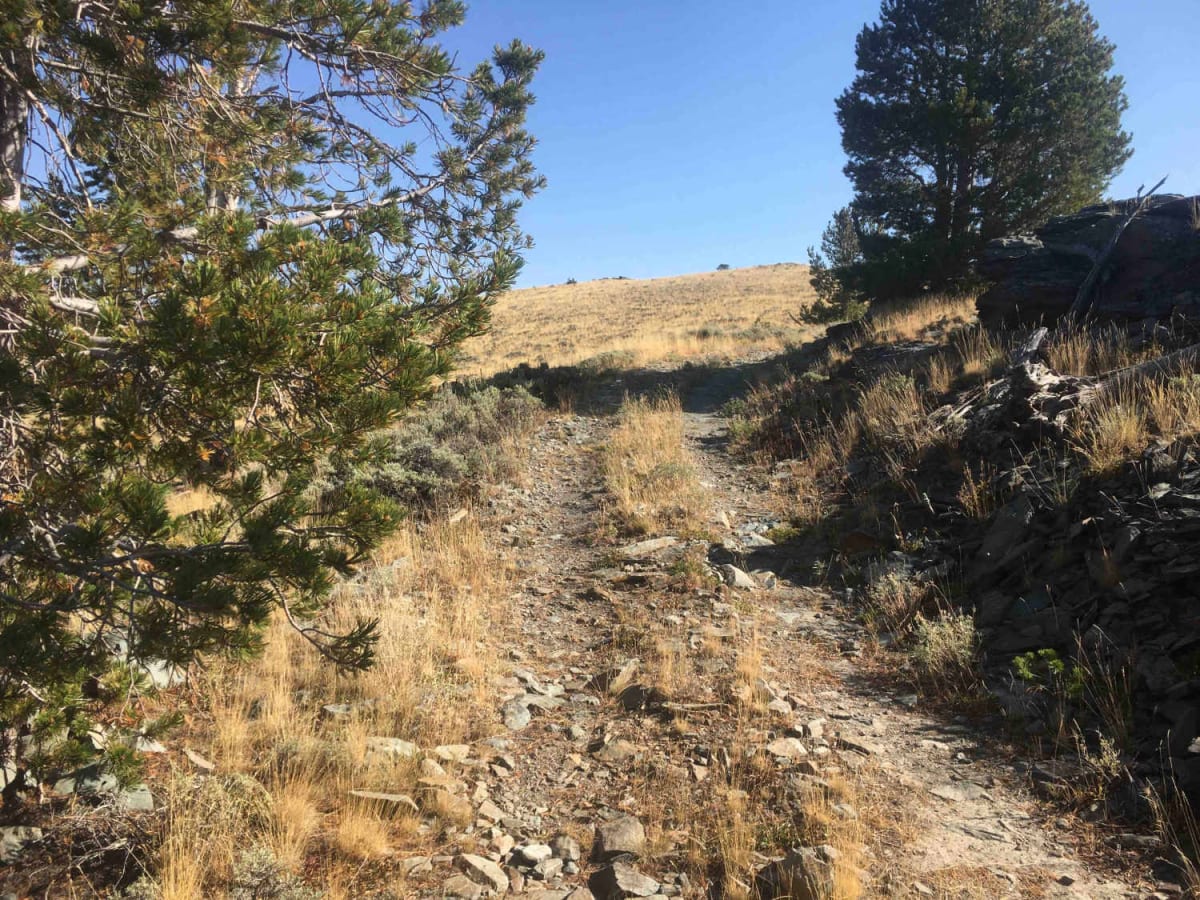 Peterson Creek Trail photo 3