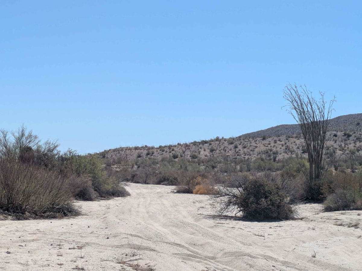 Sandtrap Wash photo 2