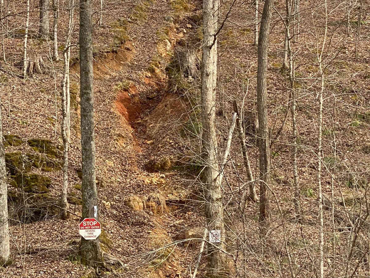 Nasty Climb 2 photo 3