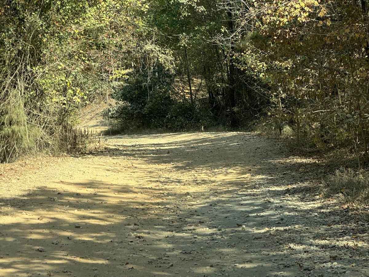 AR 1 - Main Park Road photo 2