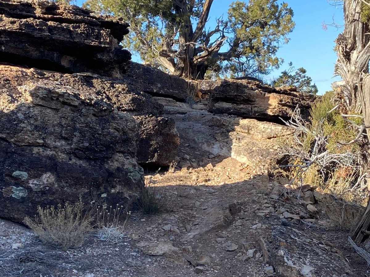 Pony Tail trail photo