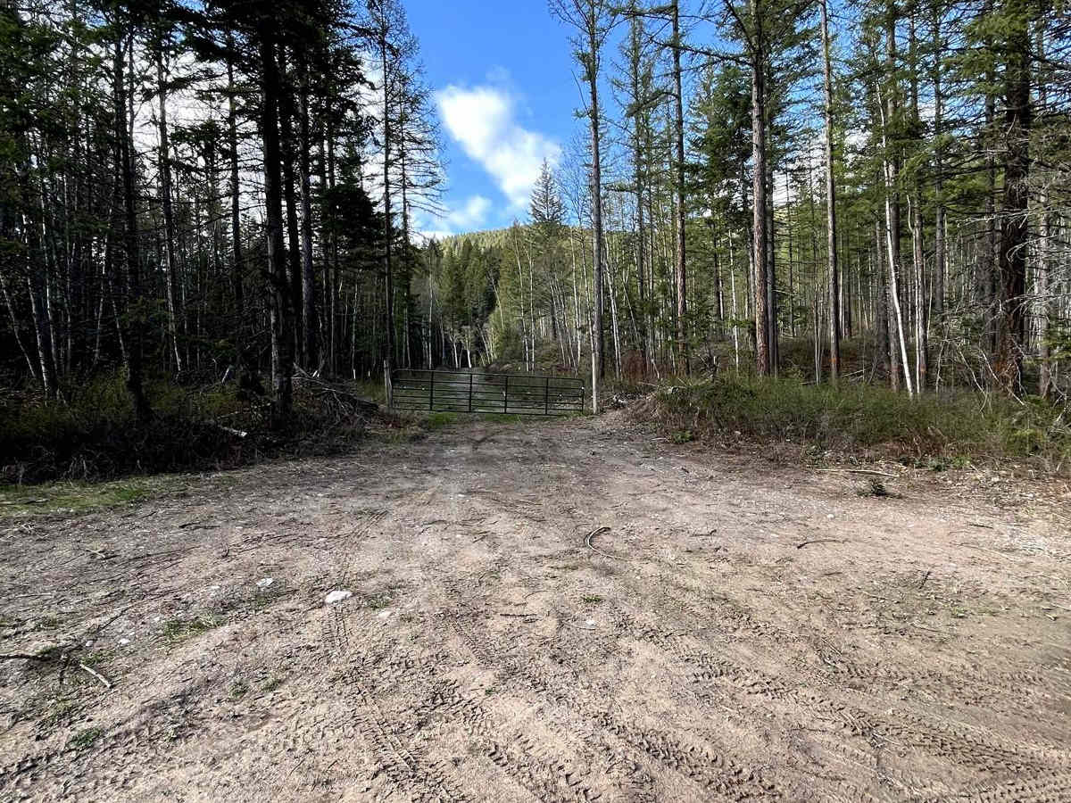 Cedar Ridge NF-1690 photo 3