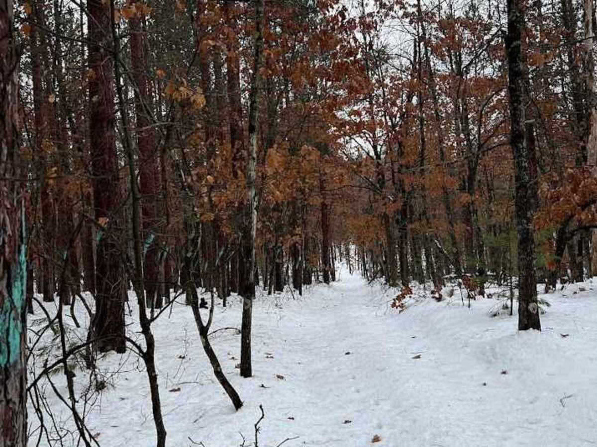 Aspen Trail (NFS 6295) photo 4