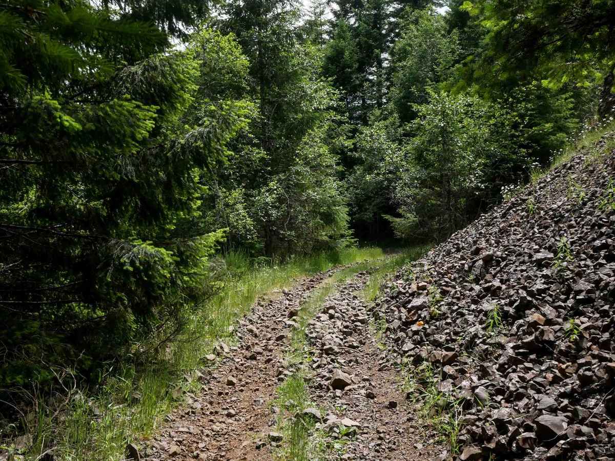 Wiggle Worm trail photo