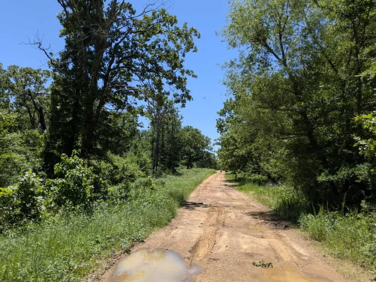 Persimmon Ridge photo 4