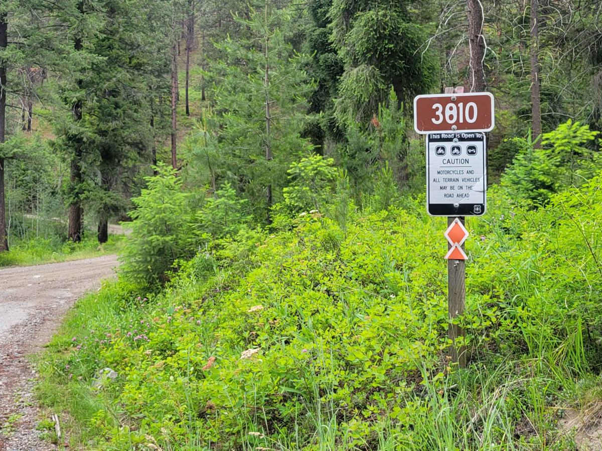 FR 3810 - Funk Mountain trail photo