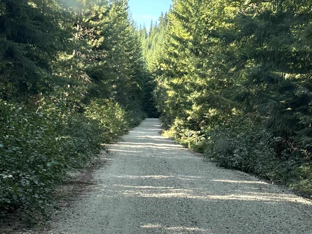 Pole Creek Loop photo 3