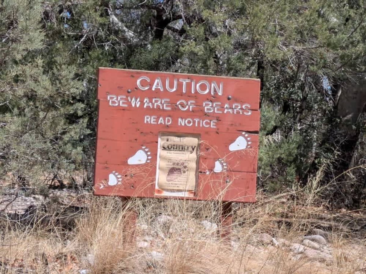 Rucker Canyon photo 6